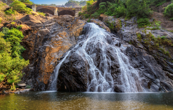 Goa Bans Entry To Waterfalls, Wildlife Sanctuaries To Ensure Safety Of Travellers