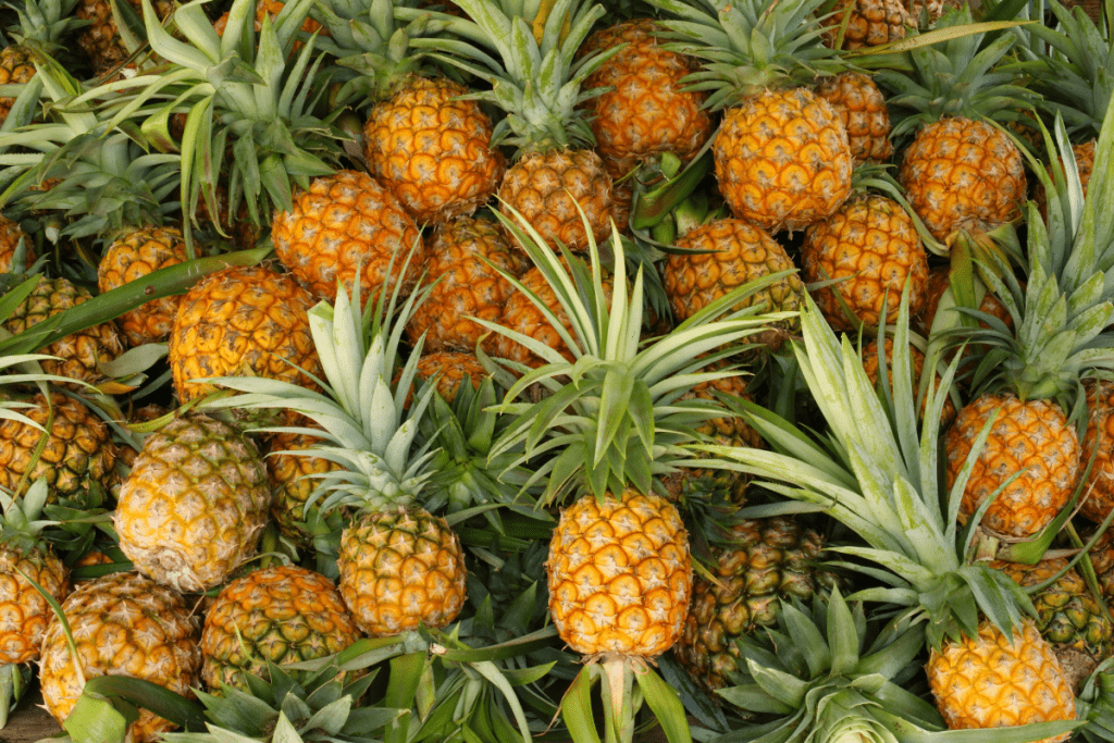 Meghalaya To Hold Pineapple Festival In New Delhi In August