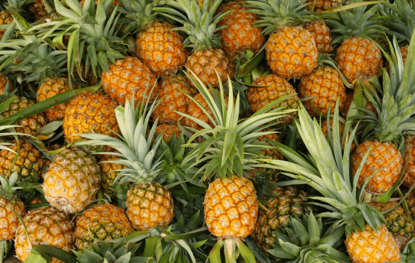 Meghalaya To Hold Pineapple Festival In New Delhi In August