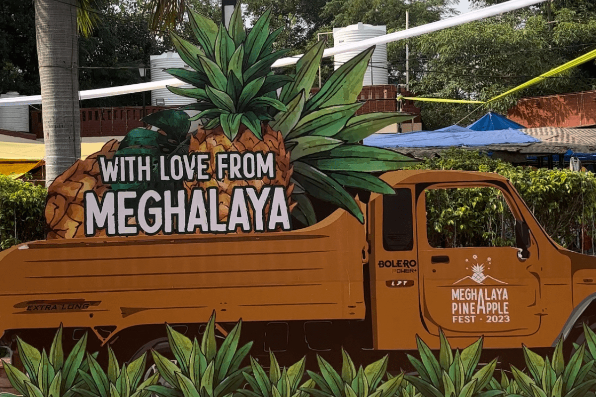 Meghalaya Pineapple Festival Inaugurated In New Delhi