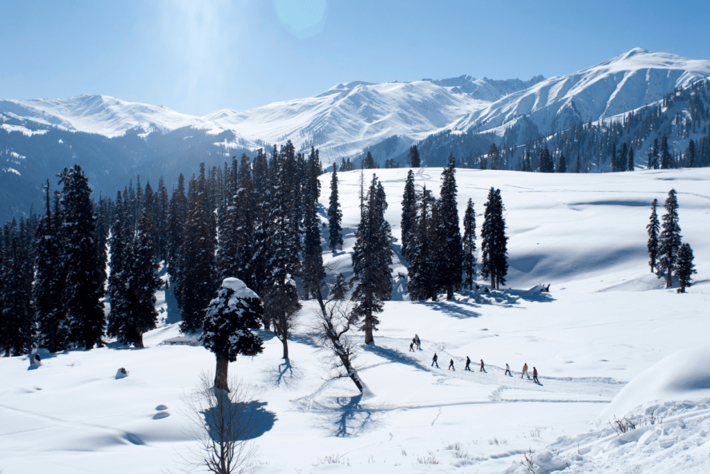 Gulmarg Receives Season’s First Snowfall, Turns Into A Winter Wonderland