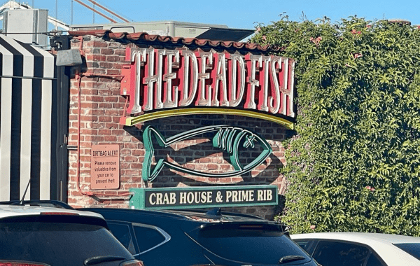 A San Francisco Gem: The Dead Fish Restaurant Review