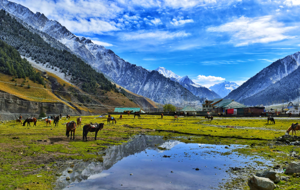 You will now get to enjoy Kashmir’s gorgeous landscapes in glass-top trains