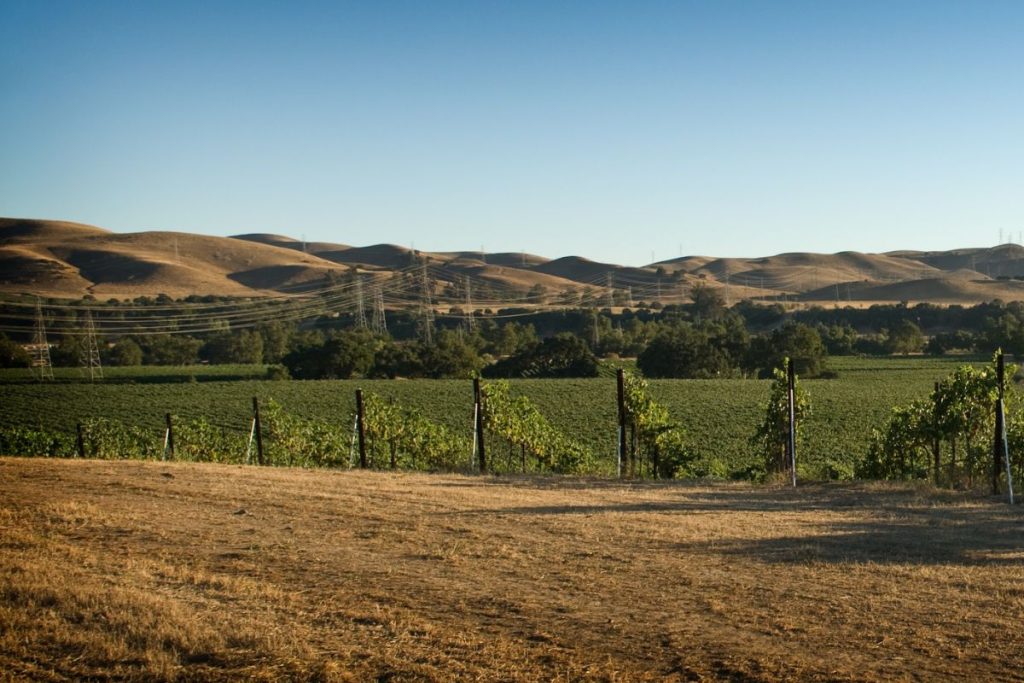 Livermore. Photo: iStock