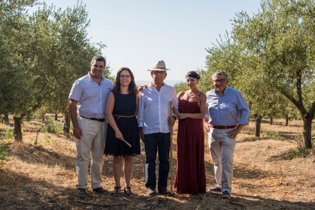 Large-BMG Spain Basilippo Estate Olive Oil Seville with the Morillo Family