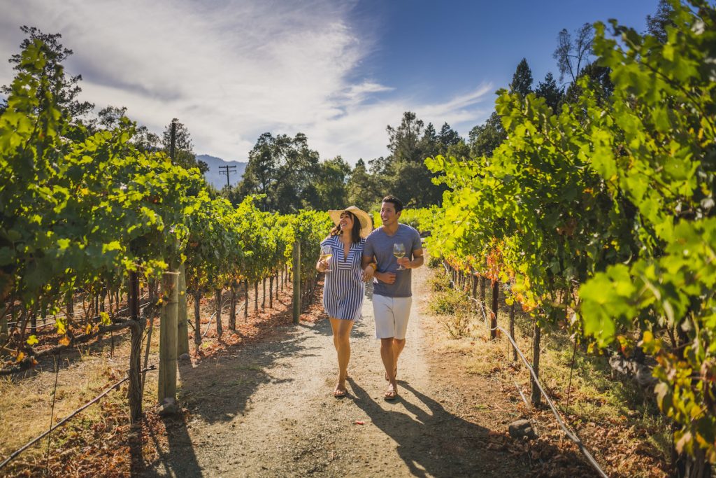 Napa vineyard, Calistoga Ranch, Calistoga, Napa Valley, California. Photo By: Visit California/David Collier