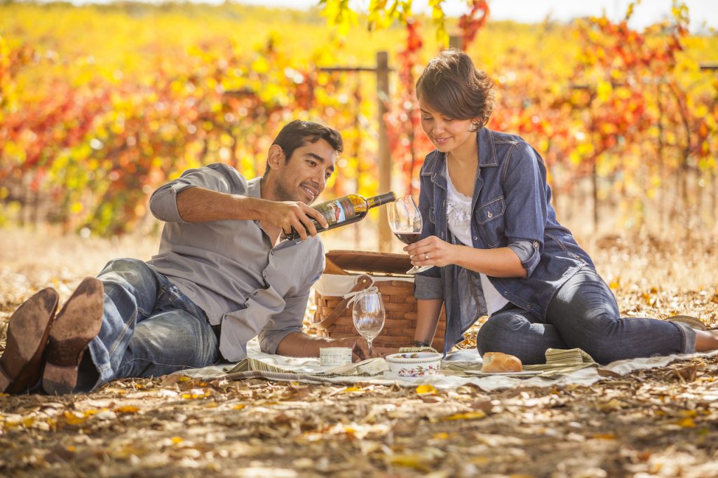 Picnic at Amador Cellars Vineyard