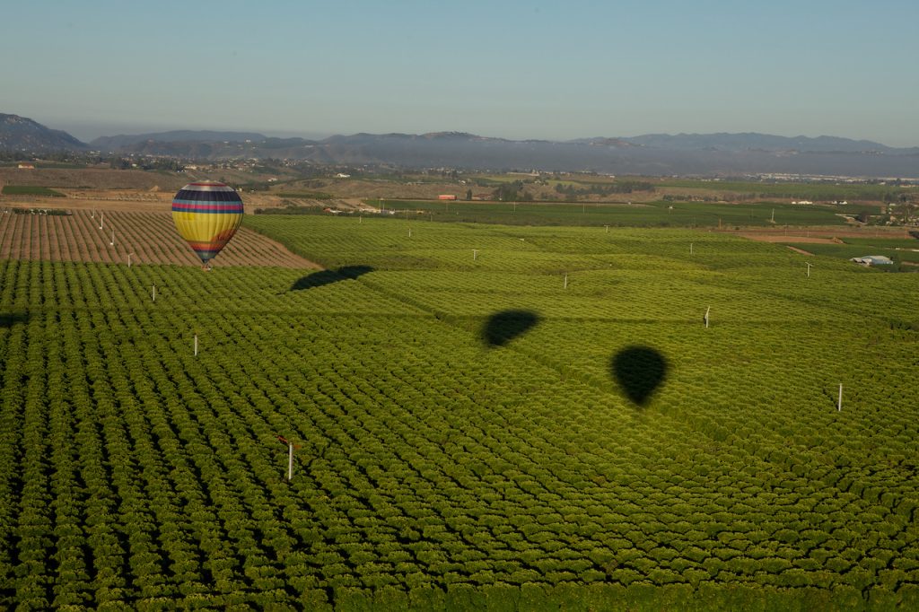 Temecula, hot air balloons

Photo By: Visit California/Bongo
Share