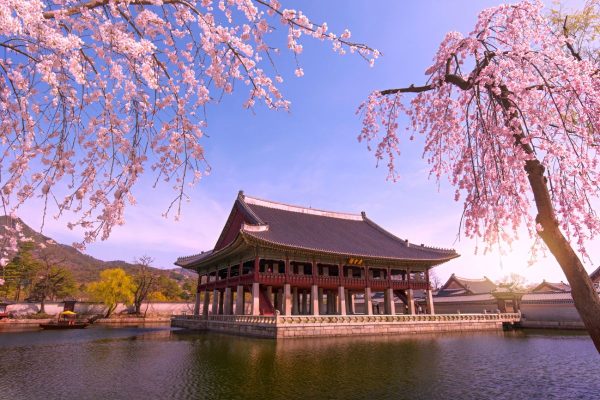 South Korea’s two new visa programmes; What it means for Indian tourists