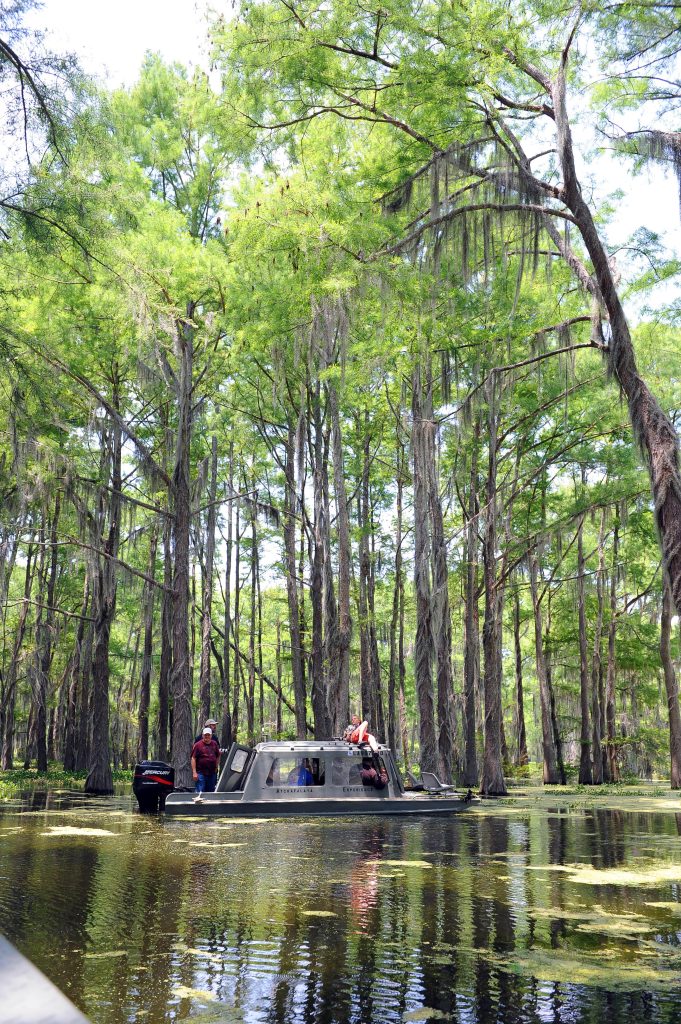 Swamp Tour, Credit- Cheryl Gerber & NewOrleans.com