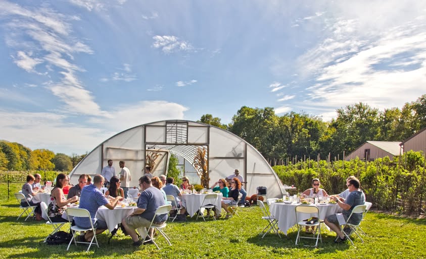 Epiphany farms