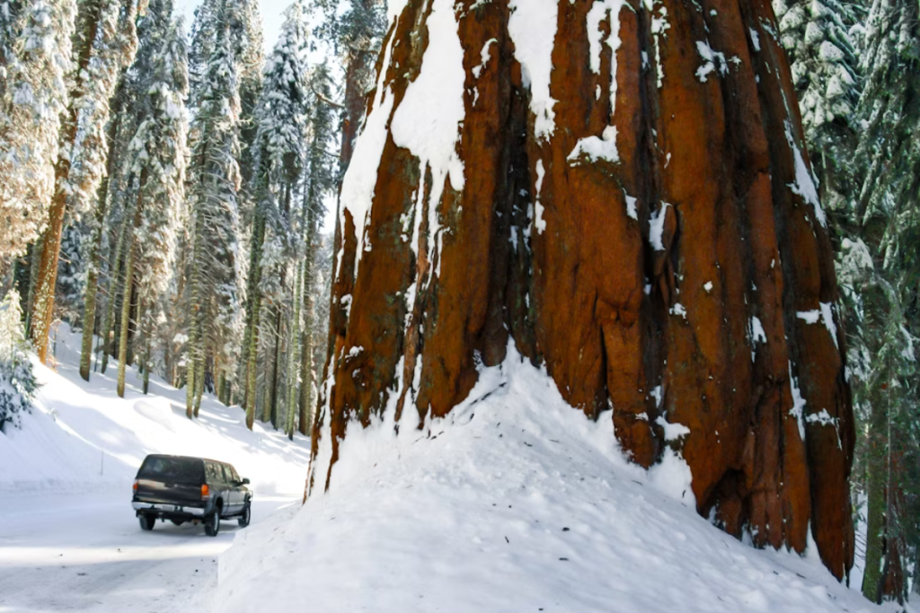 California Dreaming: The Ultimate 5-Day Road Trip Itinerary Through the Golden State