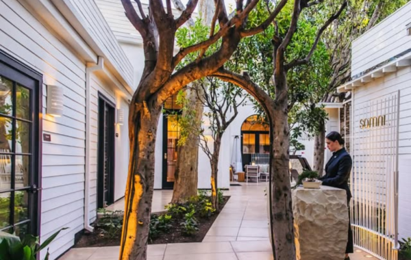 9 New Michelin-Starred Restaurants in California to Bookmark for Your Next Visit