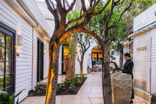 9 New Michelin-Starred Restaurants in California to Bookmark for Your Next Visit