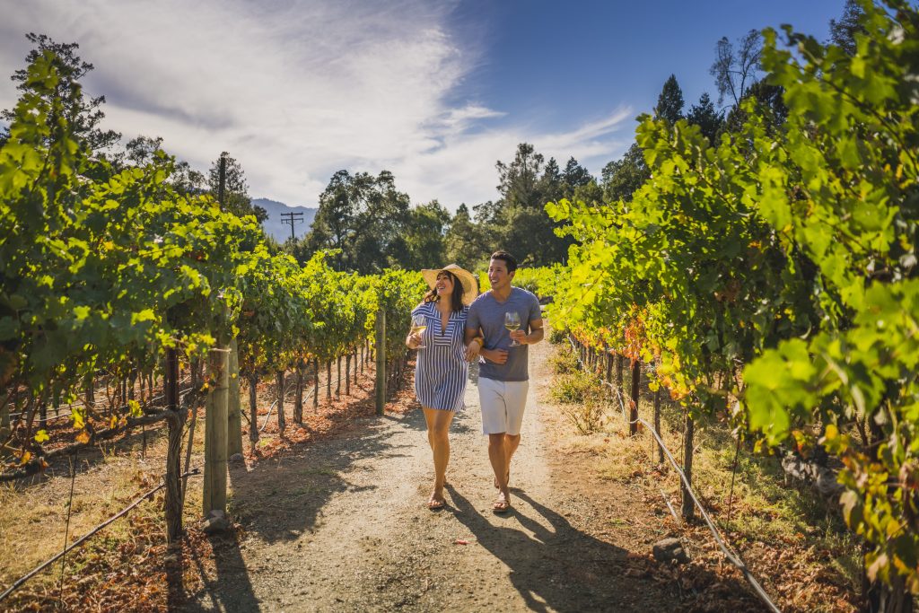 Napa vineyard