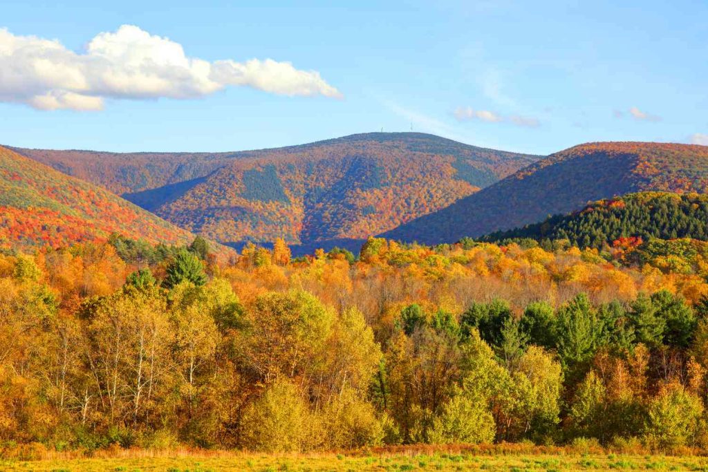 Mount Greylock State Reservation