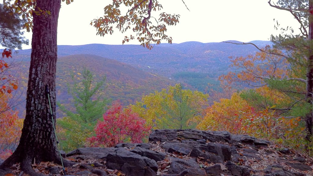 housatonic meadows state park fall