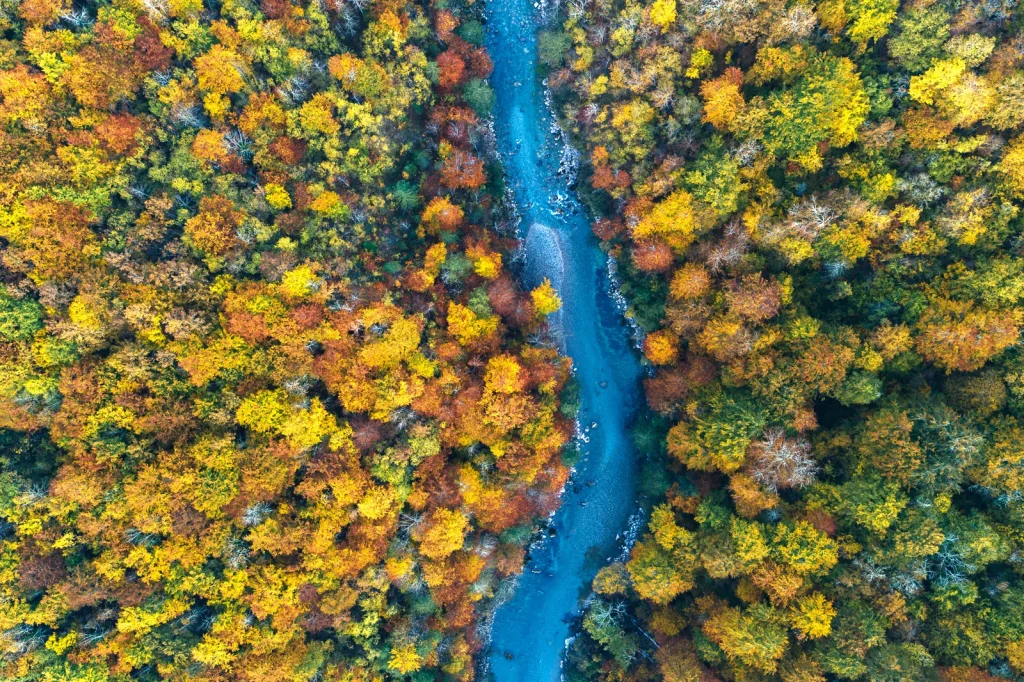 Montenegro