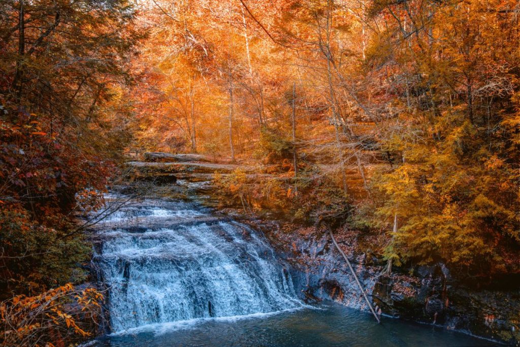 Best Places to See Fall Foliage in North Alabama : Scenic Drives, Hiking Trails & Leaf-Peeping Spots