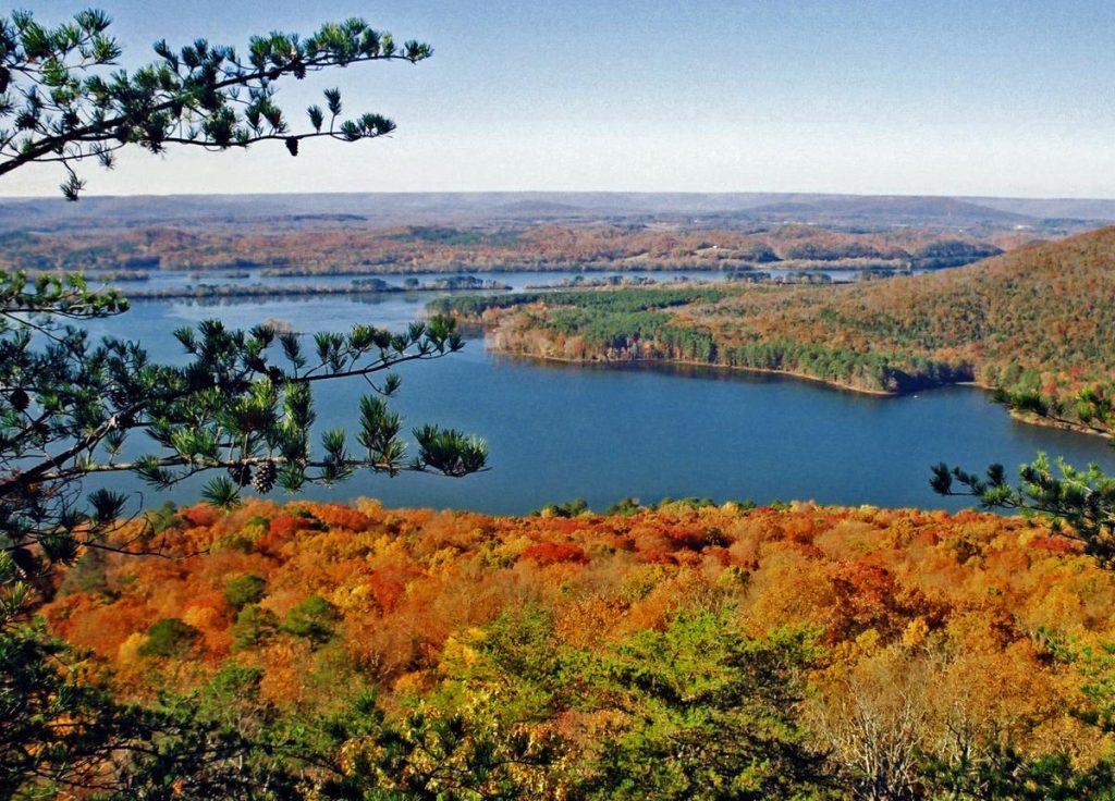 Jackson County Foliage