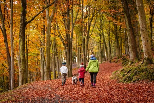Where to See Autumn Colours in Scotland: 10 Woodland Walks You’ll Love