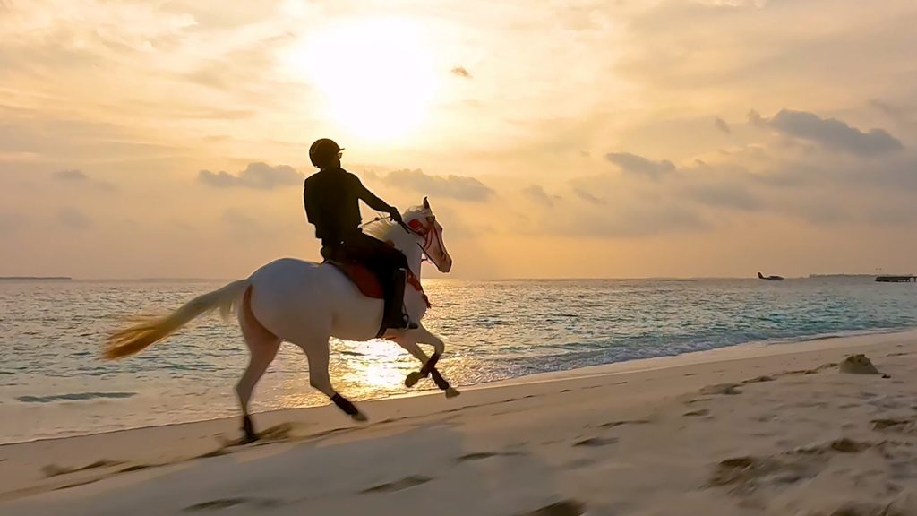 Horse Riding at Siyam World