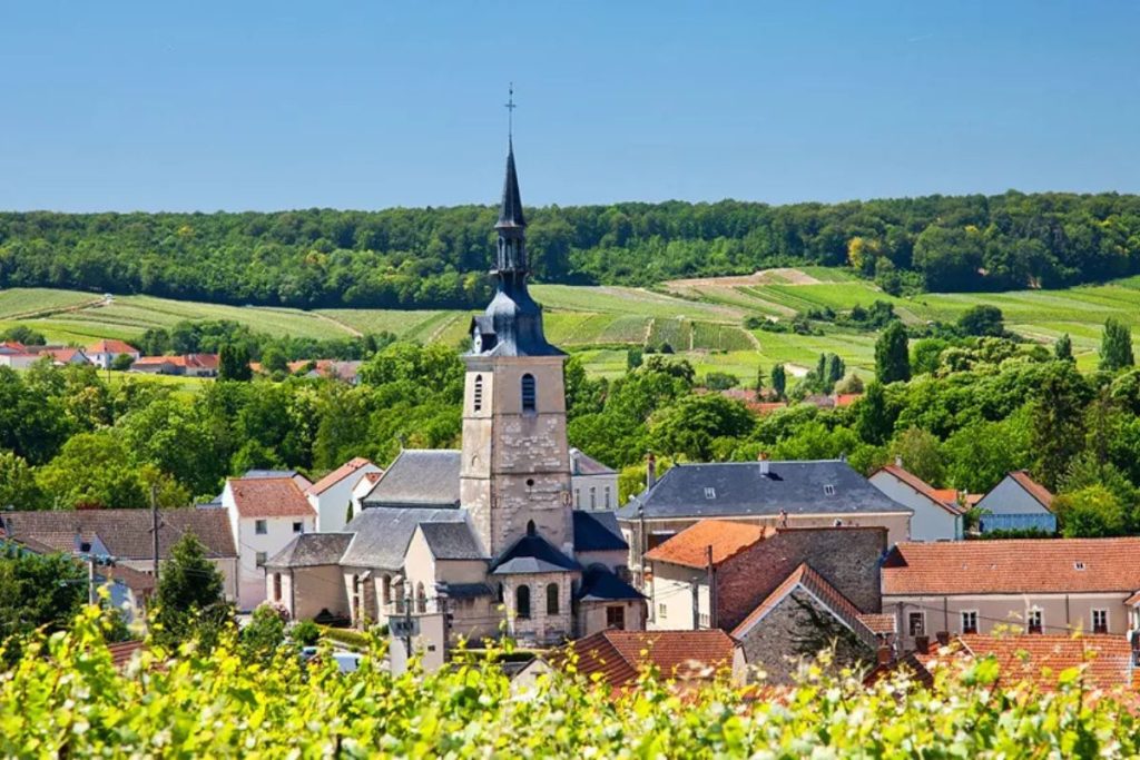 Vineyards of Champagne