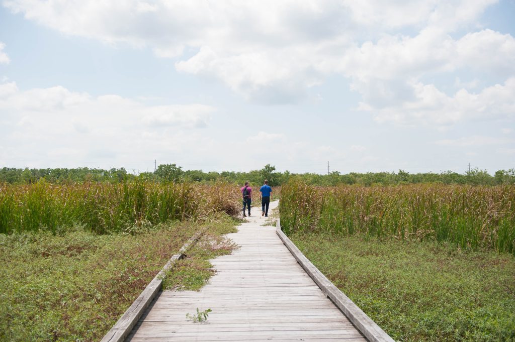 Creole Nature Trail