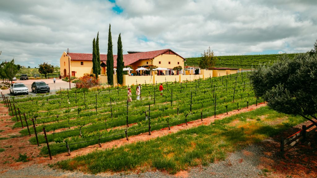 Las Positas Vineyards