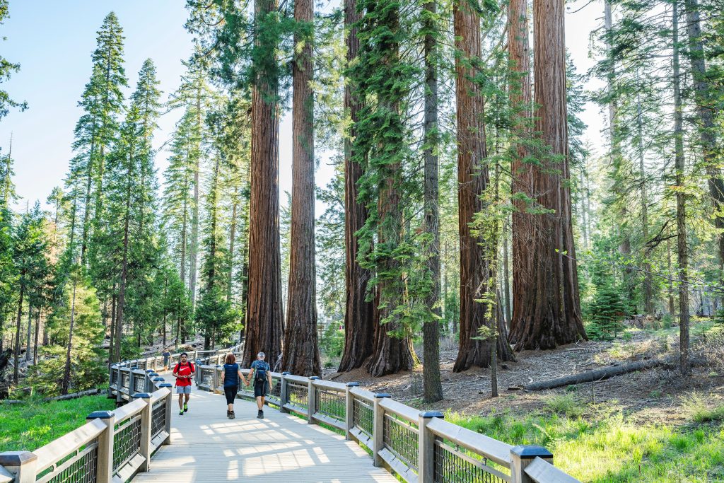 Beyond the Stadium: 5 Post-Match California Road Trip Itineraries around the San Francisco Bay Area to Elevate to Your FIFA World Cup 2026 Plans