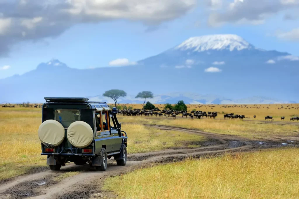 Masai Mara.