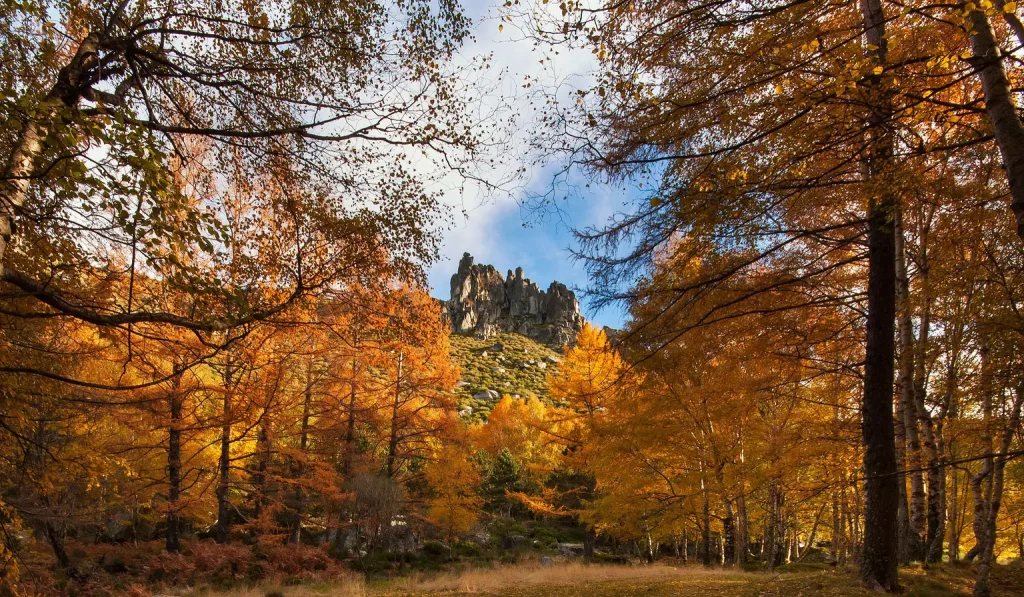 Parque Natural da Serra da Estrela. www.fredconcha.com/Getty Images