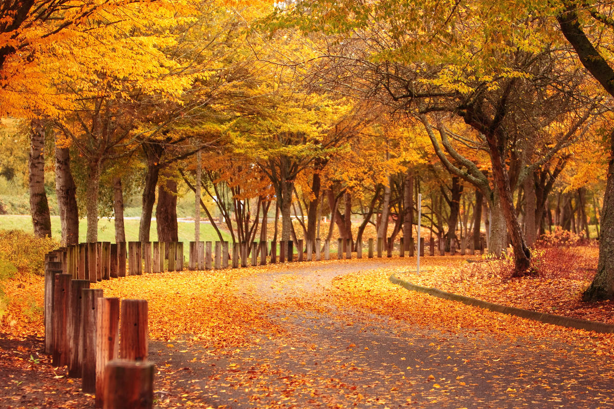 Vancouver Lake Park. Photo: Visit Vancouver