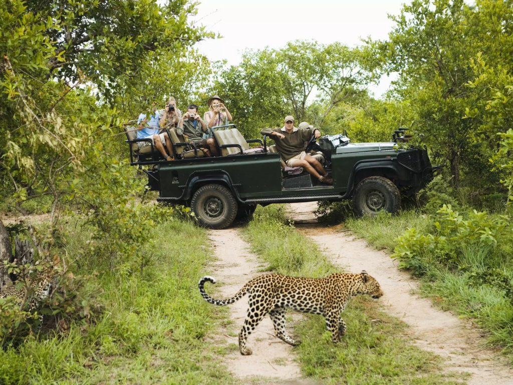 Gazelle Safari Company Expands Into India With Extra Mile Representation, Targets Luxury Travel Market