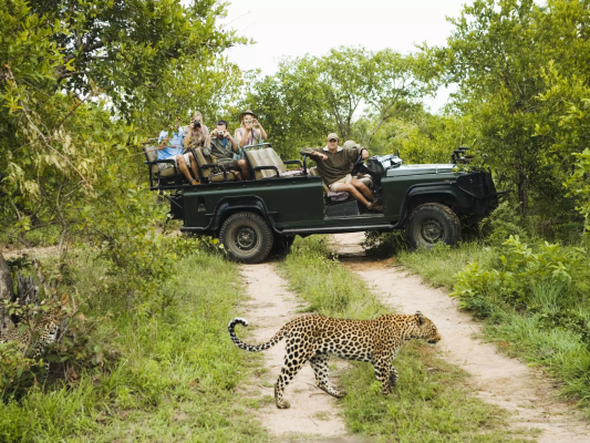 Gazelle Safari Company Expands Into India With Extra Mile Representation, Targets Luxury Travel Market