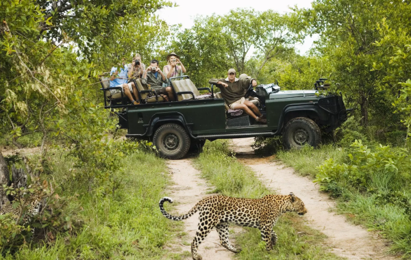 Gazelle Safari Company Expands Into India With Extra Mile Representation, Targets Luxury Travel Market