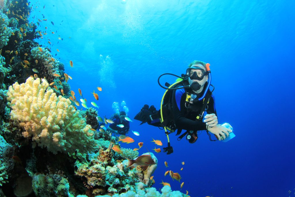 Scuba Diving, Goa
