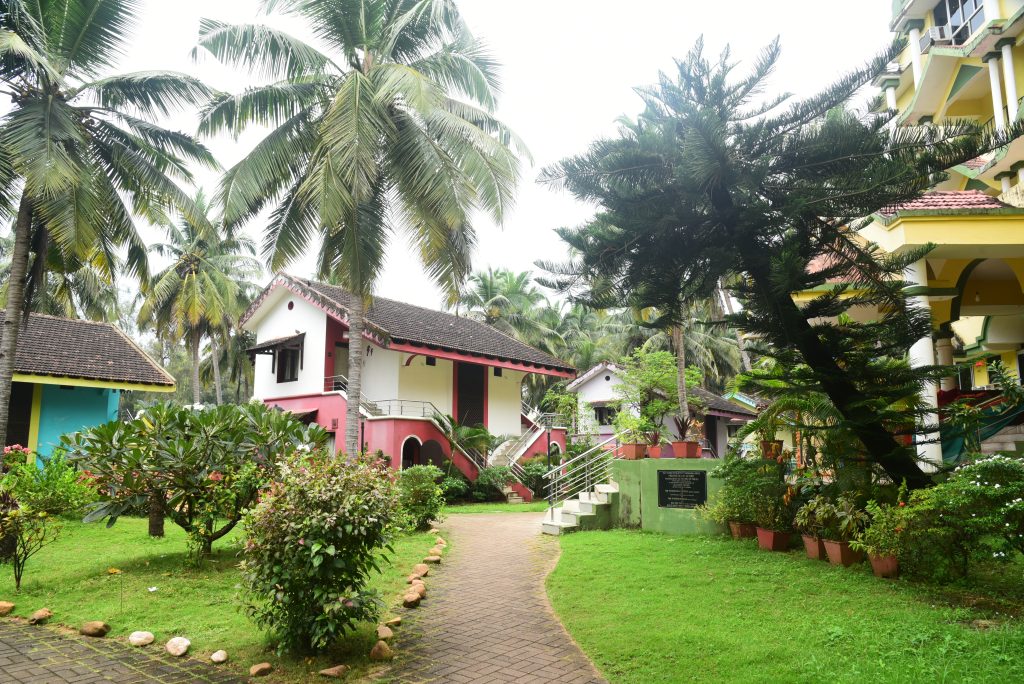 Wellness Tourism in Goa: Yoga Retreats, Ayurveda and the Rise of Regenerative Travel